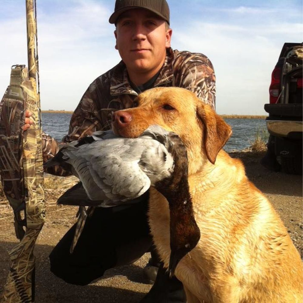 Meet your Posher, Jake